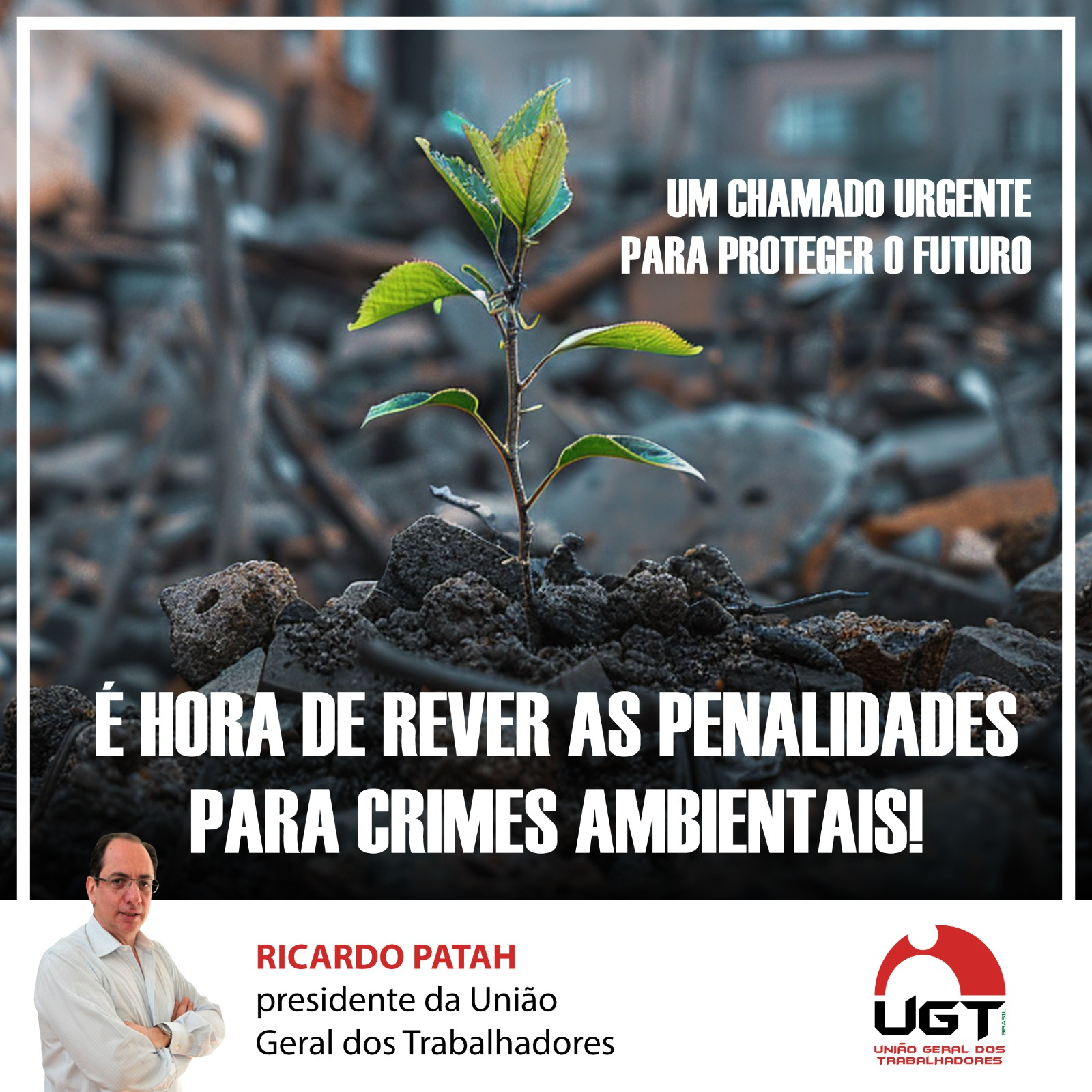 É Hora de Rever as Penalidades para Crimes Ambientais – Um Chamado Urgente para Proteger o Futuro